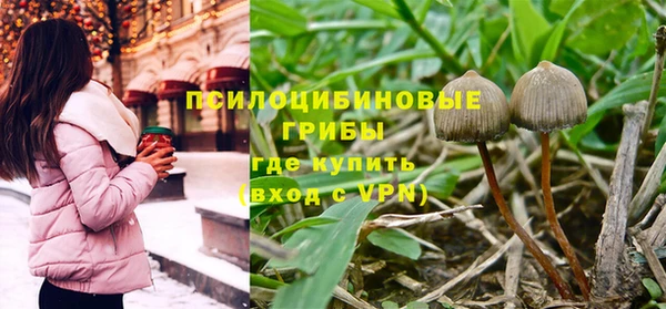 mdpv Горнозаводск