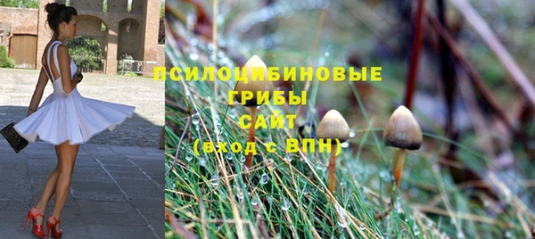 a pvp Горняк