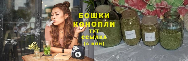 mdpv Горнозаводск